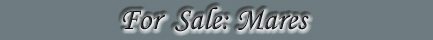 Mares For Sale