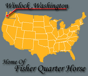 Home of Fisher Quarter Horse