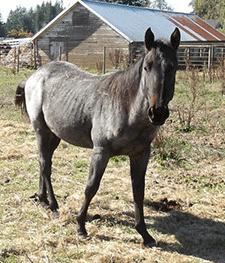 XXX Roanbone Hancock